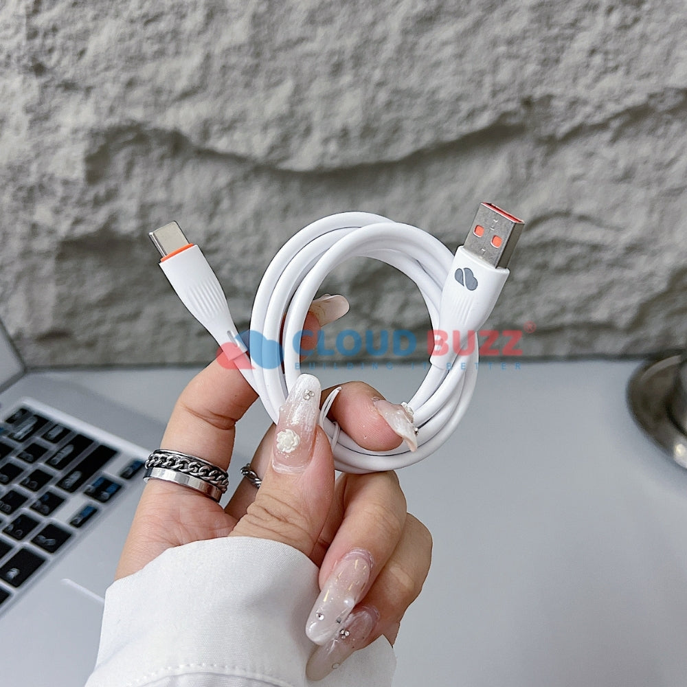 15W Smart Fast USB Charger with 1000MM Type-C (TC) Cable (CB107)